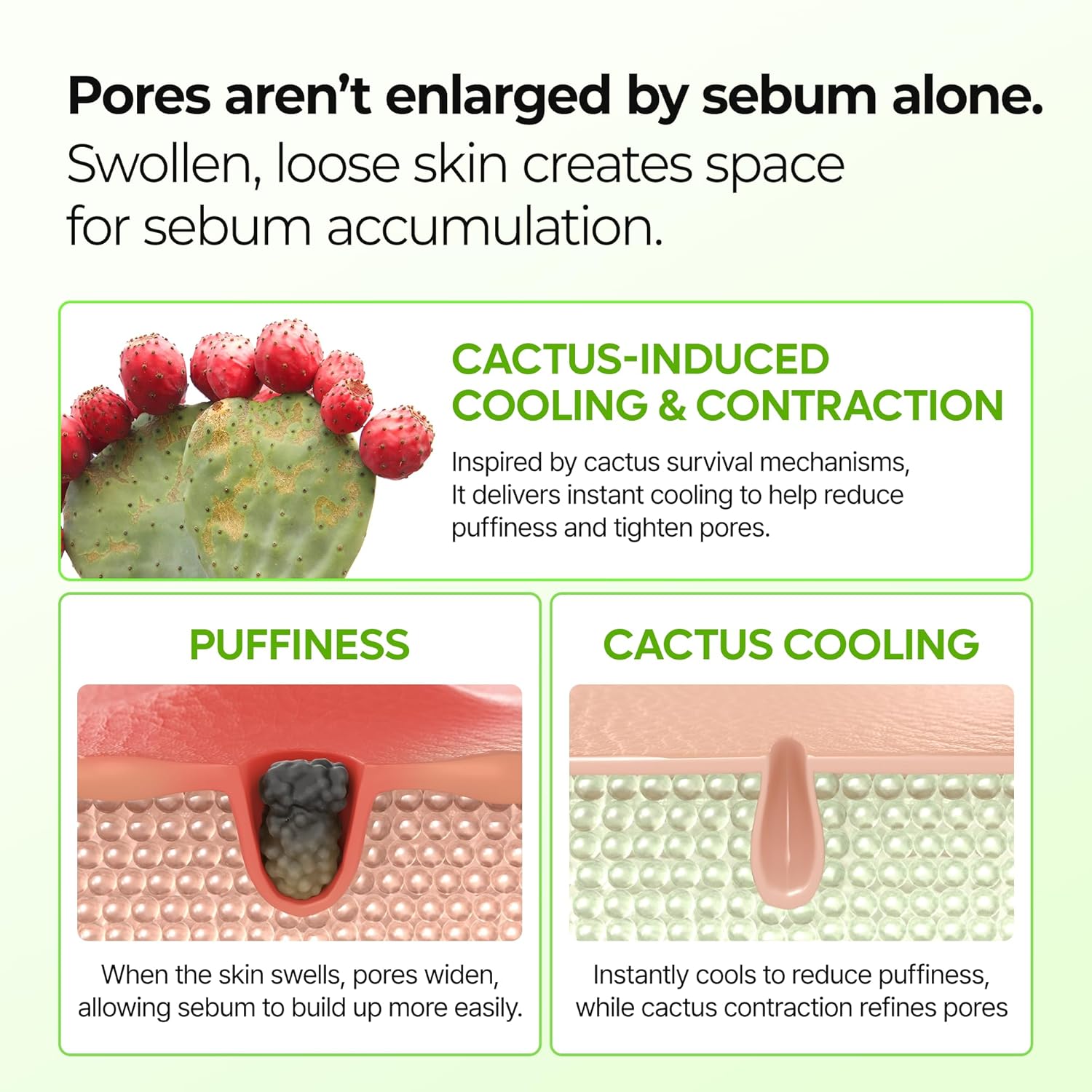 CACTOX Pore Relief — Pore Refinement & Oil Control Balm